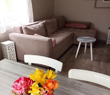Bajina Basta House | Seosko domaćinstvo Selenić