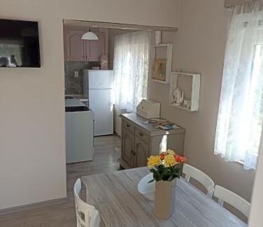 Bajina Basta House | Seosko domaćinstvo Selenić