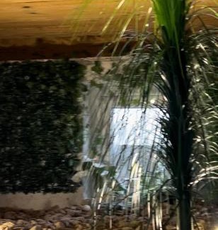 Sfantu Gheorghe Apartment | Sepsi Corner