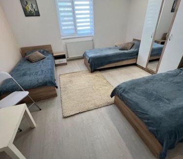 Sfantu Gheorghe Apartment | Sepsi Corner