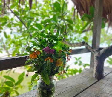 Port Olry Bed & Breakfast | Serenity Family Treehouse