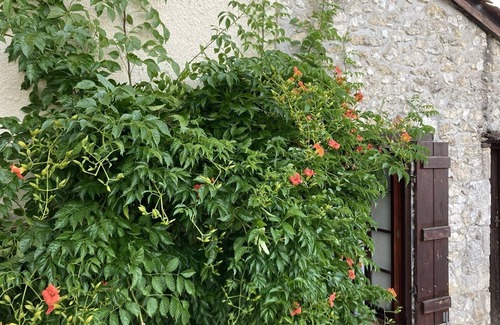 Thenac House | Seuls au Monde La Villa Fongrivoise is waiting for you!!!