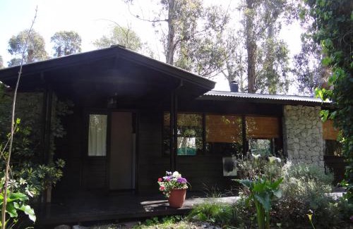 Bosque Peralta Ramos House | Shangri-La