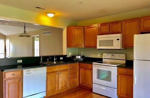 Carroll Condo | Shanina Condo. suit