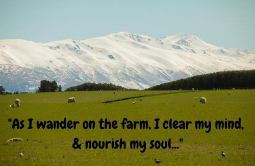 Coal Stream House | Shearvue Farmstay with Optional Free Farm Experience at 5pm