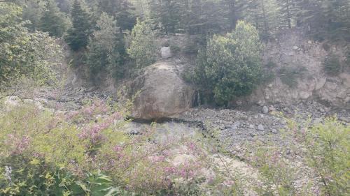 Sangla Other | Shepherd's Lore Camps & Resort