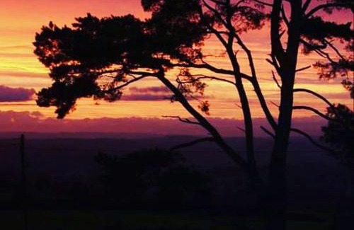 Raymonds Hill House | Shepherds Knapp Lodge-Uk13284