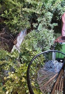 Ujjain House | Shiv Shakti Nature Stay