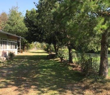 Guoxing Other | Shuizhong Yue Homestay