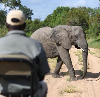 Thorny Bush Game Reserve Cabin | Shumbalala Game Lodge