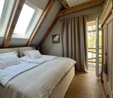 Dziemiany House | Siedlisko Belfort - Dom Wschodów