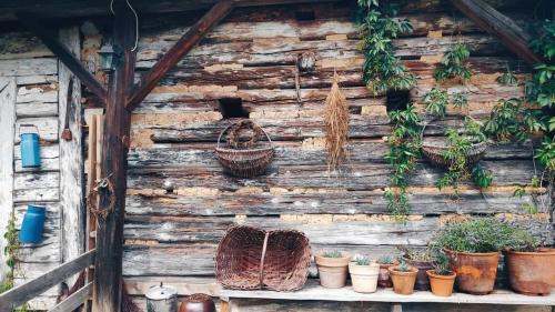 Ciezkowice House | Siedlisko Muchówka