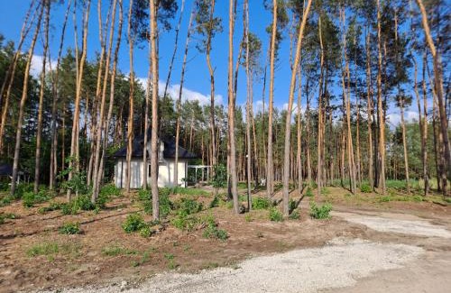 gmina Ułez Villa | Siedlisko Sarny