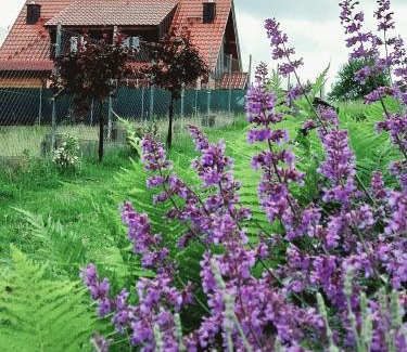 Gietrzwald Cabin | Sielski Spokój Dom z bali Apartamenty całoroczne
