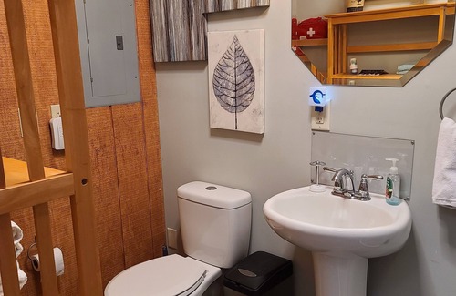 Mooresville Bed & Breakfast | Silly Chickens Lodge B&B