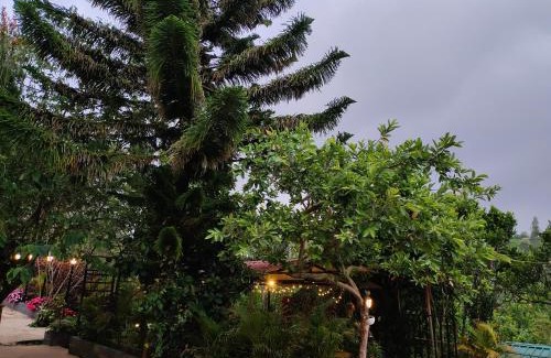 Kotagiri Villa | Silver Spruce 2BHK Entire Floor Kotagiri
