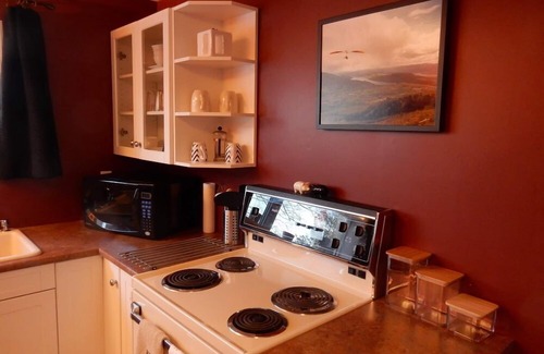 Vernon House | Silver Star Road Suites - Lower Level Suite