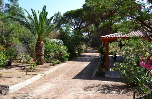 Eden Rock Villa | Single villa nestled in pine forest a few steps from the beach in Santa Margherita
