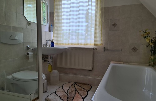 Kleinzschachwitz Apartment | Single room directly opposite Pillnitz Castle