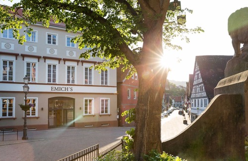 Amorbach House | Single Room - Emich's Hotel