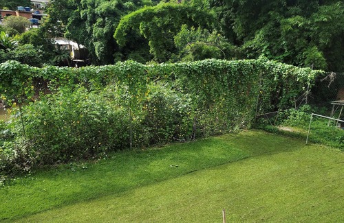 Posse House | SITE, GREEN, POOL, BARBECUE, FIELD, 20 MIN. ITAIPAVA, NEXT MARKET