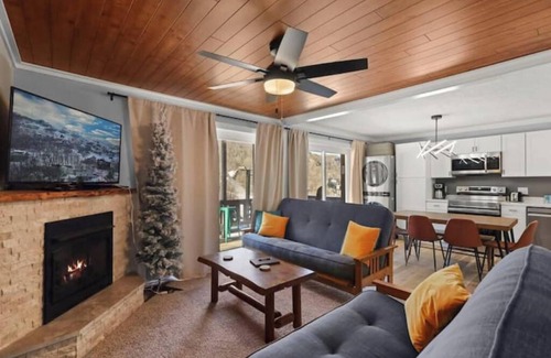 Beech Mountain Apartment | Ski-in Chill-out - AC! On Slopes