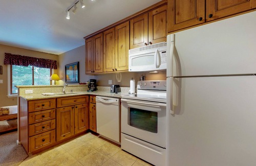 Four O'Clock Condo | Ski-in dog-friendly condo with hot tub & sauna in great location