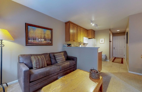 Four O'Clock Condo | Ski-in dog-friendly condo with hot tub & sauna in great location