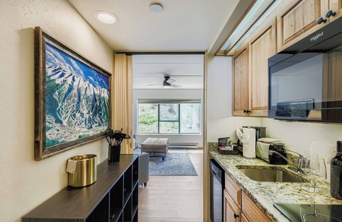 Peak 9 Apartment | Ski In Ski Out, Dog Friendly, Studio, Building 4