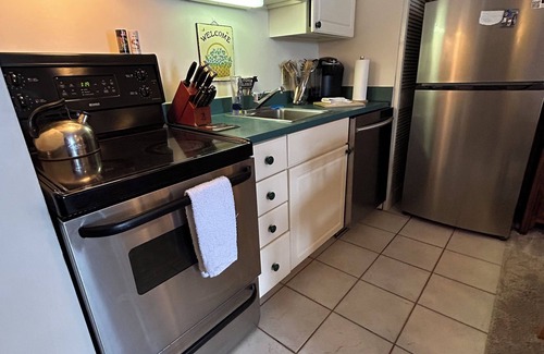 Jeffersonville Apartment | Ski-in/Ski-out Slopeside Studio Smuggler's Notch Resort - UPDATED LOWER RATES