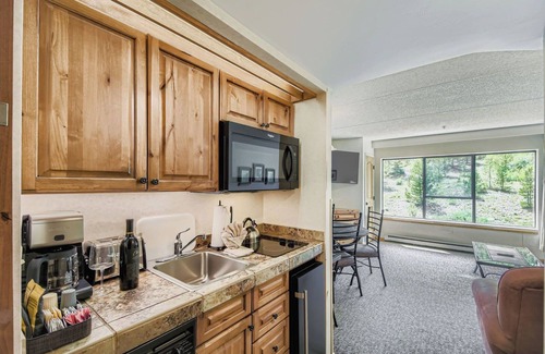 Peak 9 Apartment | Ski In Ski Out Studio, Dog Friendly, Beaver Run, Building 4