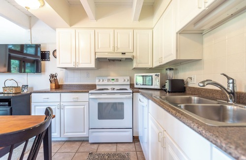 Copper Mountain Village Condo | Ski-in/Walk-out condo, free wifi, covered parking. kitchen, pet friendly!