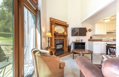 Copper Mountain Village Condo | Ski-in/Walk-out condo, free wifi, covered parking. kitchen, pet friendly!
