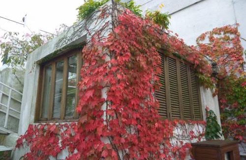 Ciudad Vieja Apartment | Sky Garden Sarandi [ Studio ] Pool & Barbacue