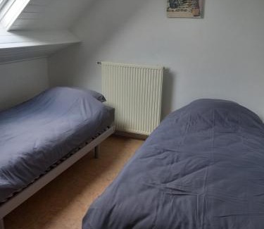 Vlimmeren Apartment | slapen bij alpacas