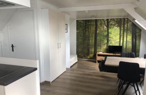 Vlimmeren Apartment | slapen bij alpacas