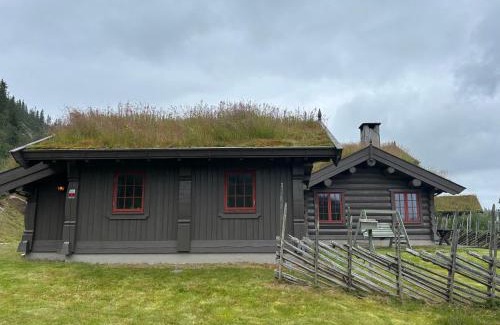 Hjartdal Municipality House | Sleepover in the mountains