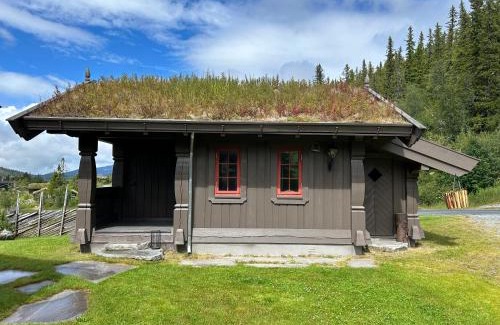 Hjartdal Municipality House | Sleepover in the mountains