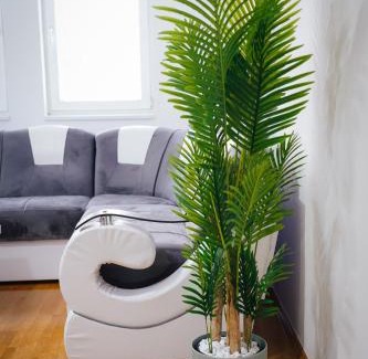 Kragujevac Apartment | Smallville Apartment