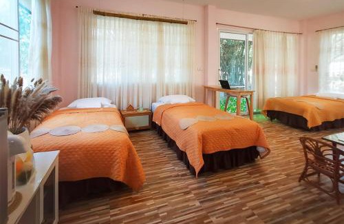 Songkhla House | SN Garden