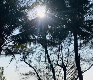 Redi House | Sneh Beach Homestay - Wayangani Vengurla