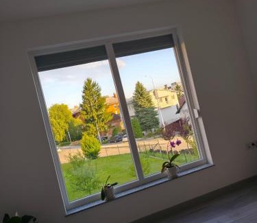 Mali Radic Apartment | Sokak Apartman