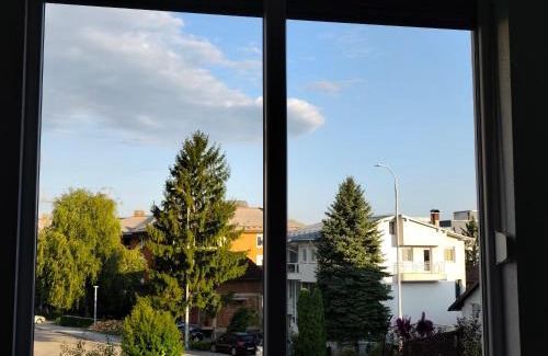 Mali Radic Apartment | Sokak Apartman