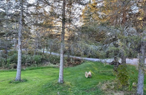 Ahmic Harbour House | Sol Oasis - Cottage Experience