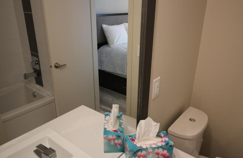 Kelowna Central Business District Apartment | Sole Downtown
