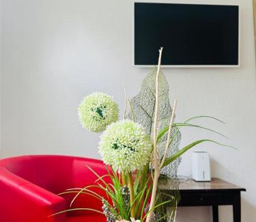 Sollstedt Apartment | Sollstedt Ferienwohnung