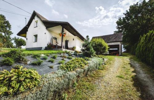 Kamieniec Zabkowicki House | Sosnowa 61