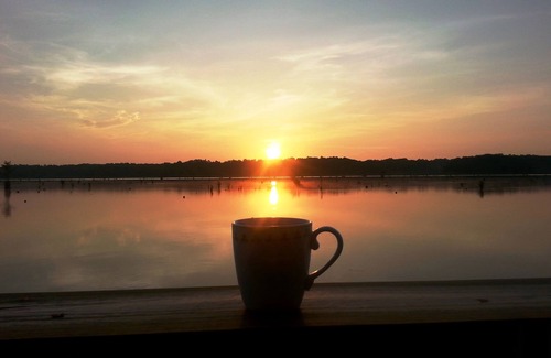 Donalsonville House | "Southern Comfort Lake House" on Lake Seminole-Covered Dock with Elec/Water!