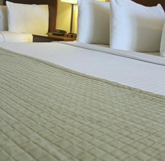 Lamesa Hotel | Southern Inn & Suites Lamesa