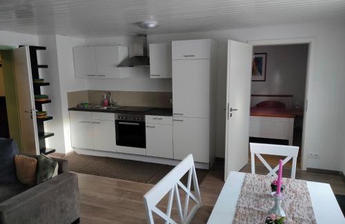 Weingarten Apartment | Soutterain - Wohnung mit Senkgarten